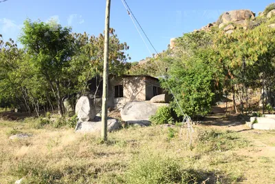 DSC_2668 (Large).JPG